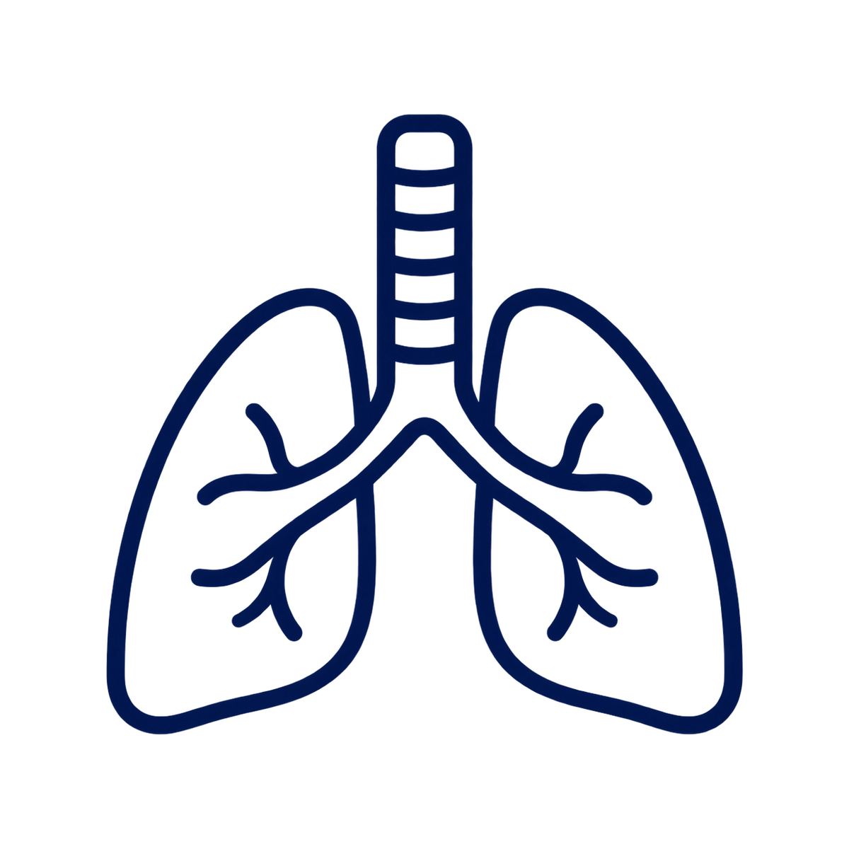 Airway and respiratory study material